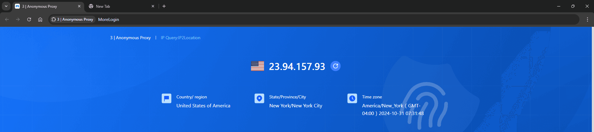 IP checker showing proxy's IP, confirming Anonymous Proxies connection through MoreLogin.