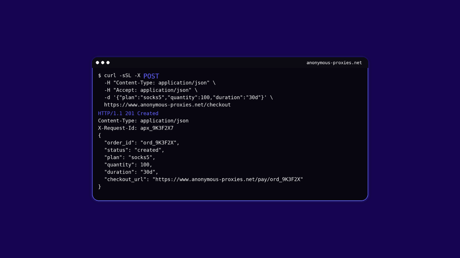 Curl Post Requests Hero Image.