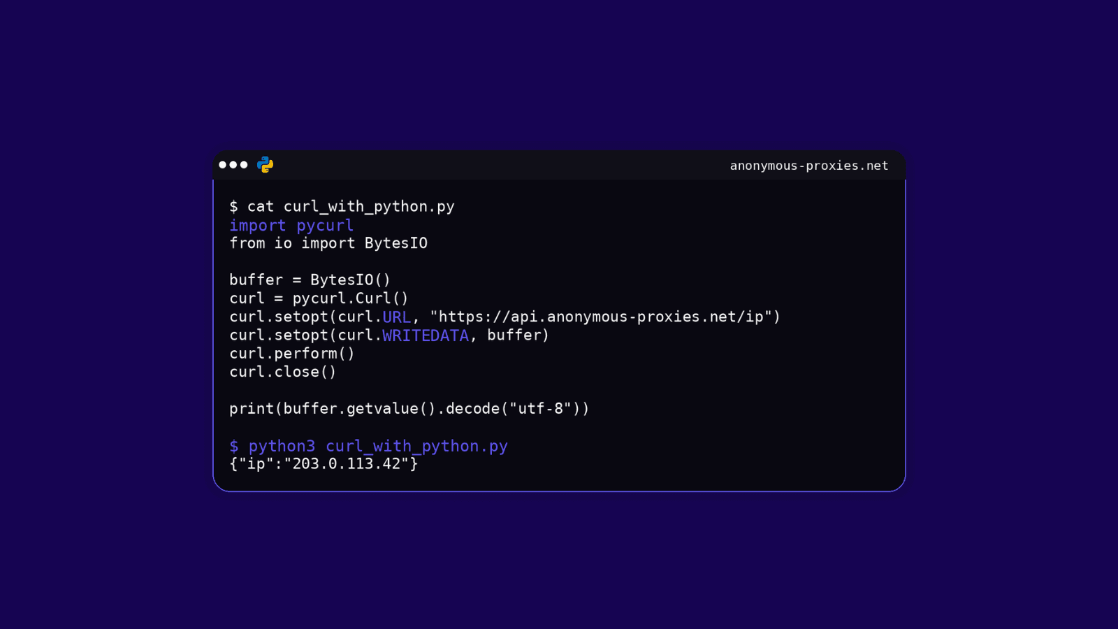 Curl with Python hero image