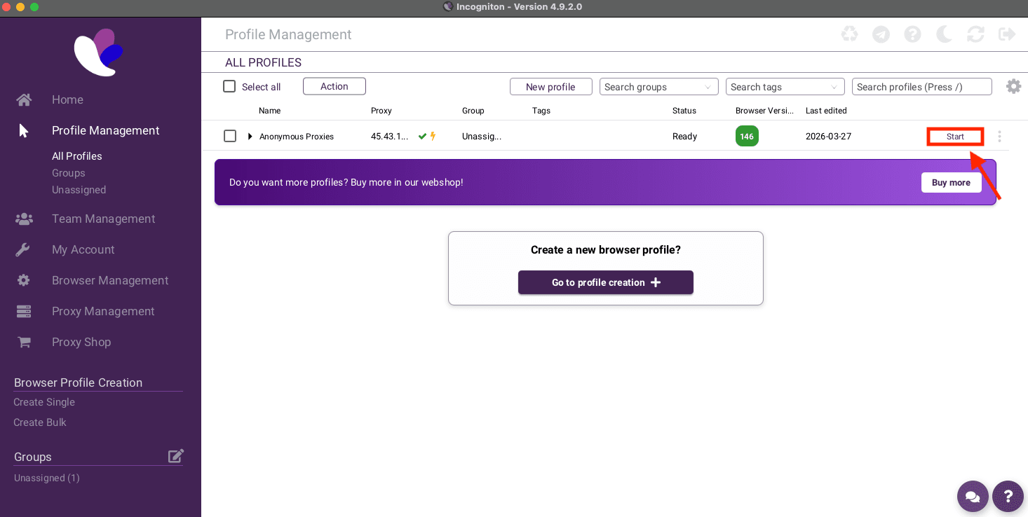 Start the new browser profile in Incogniton