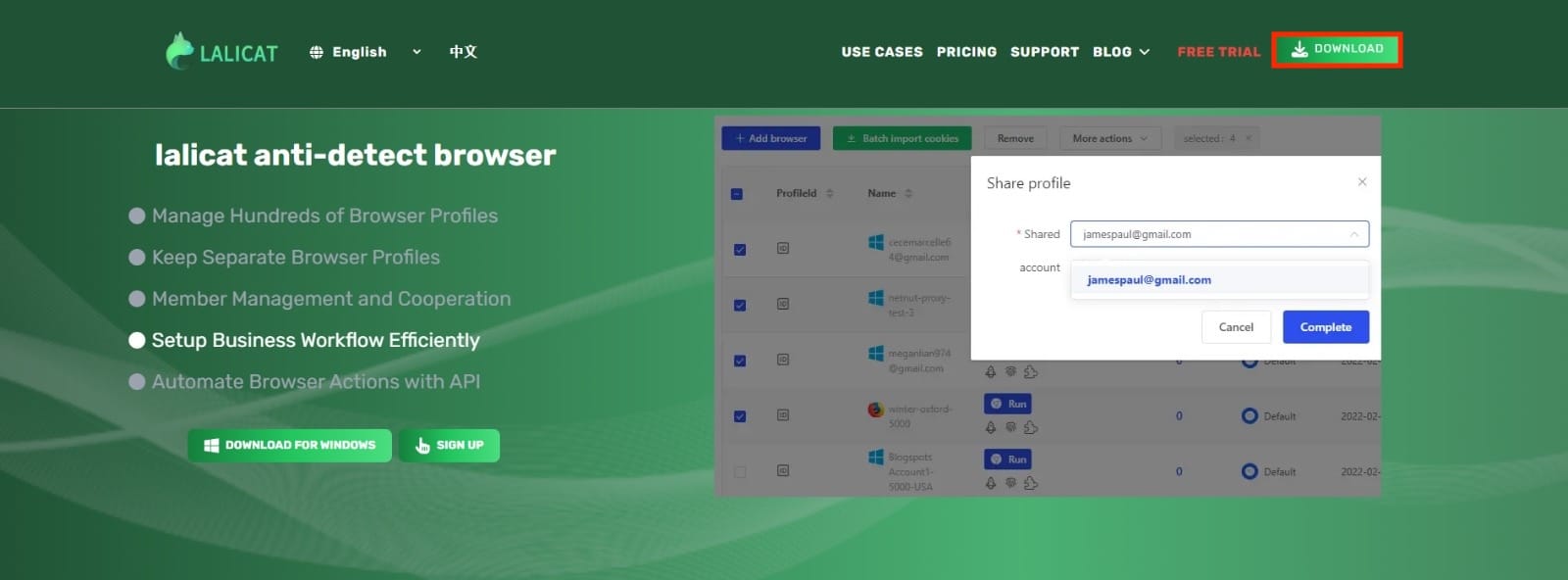 Lalicat website homepage with the Download button highligthed