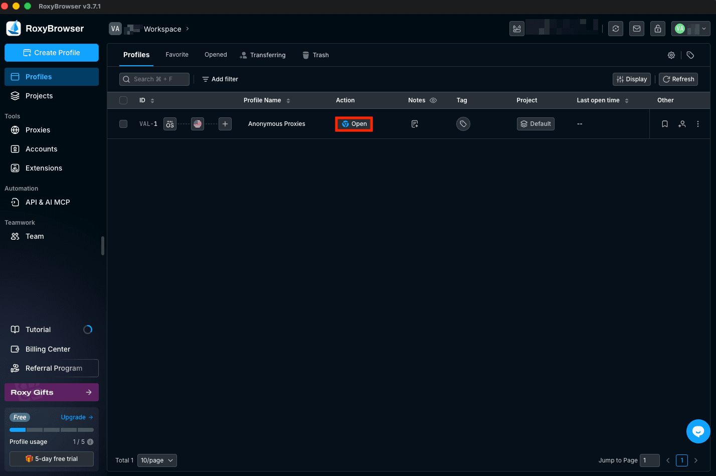 RoxyBrowser Profiles list with Open button to launch the proxy profile