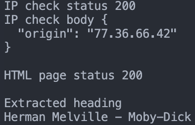 AIOHTTP SOCKS5 proxy test output showing exit IP and status 200